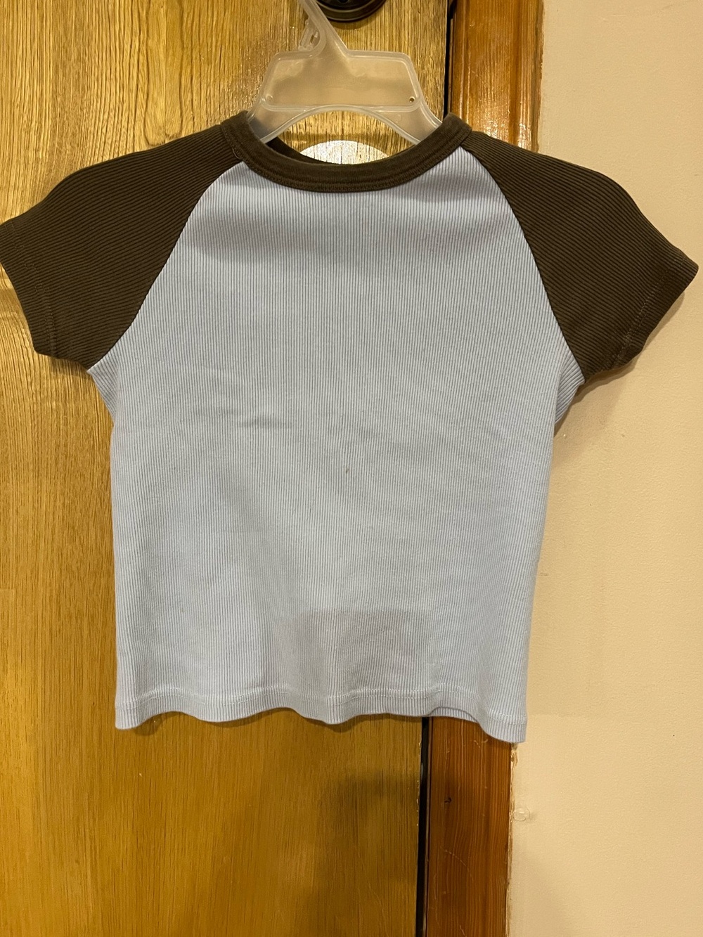 Brandy Melville Brown and Blue Raglan T-Shirt